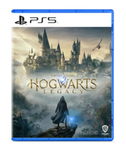 PS5 Hogwarts Legacy