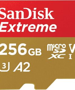 SANDISK Extreme GO microSD™ UHS-I Card - 256GB